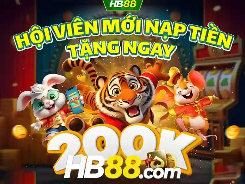 Tóm tắt và lời mời trải nghiệm