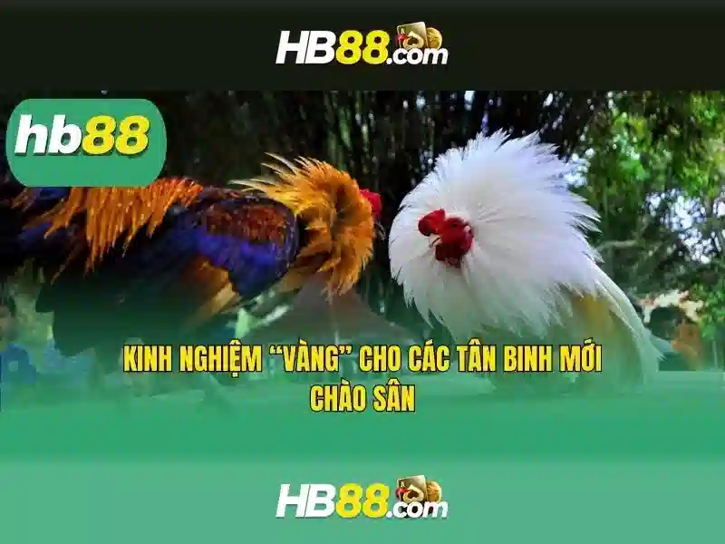 Việt Vị Trong Bóng Đá