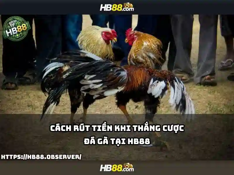 Việt Vị Trong Bóng Đá