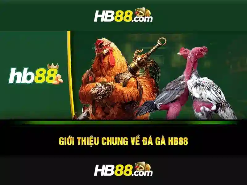 Các tính năng nổi bật của hb88 Các tính năng nổi bật của hb88