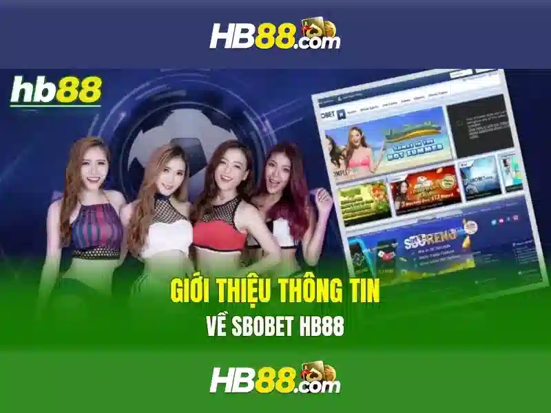 Khuyến mãi và chương trình thưởng Khuyến mãi và chương trình thưởng