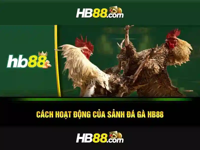 Những sản phẩm chính của HB88 Những sản phẩm chính của HB88