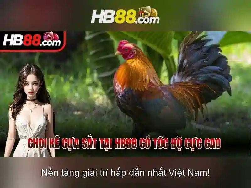 Phản hồi người tiêu dùng hb88 club chính thức Phản hồi người tiêu dùng hb88 club chính thức